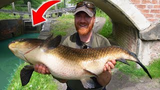 I Just Caught A Canal GIANT New PB [upl. by Clemens271]