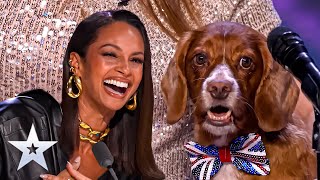 DOG Singing Alesha Dixon’s Breathe Slow Cover  Britains Got Talent [upl. by Remmus]