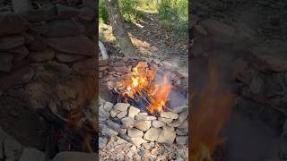 Bamboo explodes in fire pit [upl. by Stormie310]