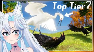 quotThe Bird Tier Listquot by TierZoo  SmugAlana Reacts [upl. by Archibald]