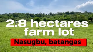 V62424  farm lot 28000 sqm • P700 per sqm Nasugbu Batangas Philippines [upl. by Coheman]