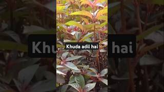 Khuda Adil haiquransurahbaqarahAtifahaider vlogs [upl. by Enuahs]