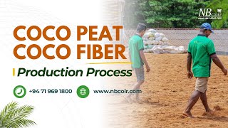 Start to end  Coco peat  Coco fiber Production process  NB Coir [upl. by Arel]