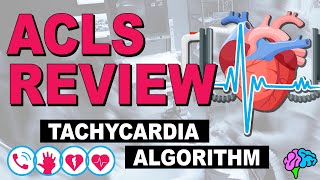 Tachycardia Algorithm  ACLS Review [upl. by Acilgna]