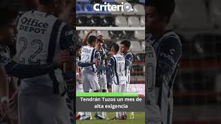 Estas son las noticias del día en criteriohidalgo hidalgo tulancingo tuzos [upl. by Eilyw]