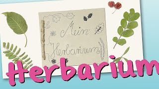 Herbarium [upl. by Enirehtac277]