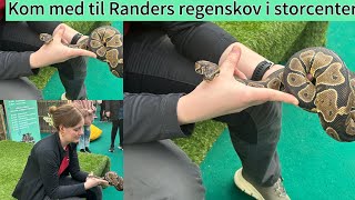 Randers Regnskov🇩🇰پارک جنگل بارانی در سنتر🫢 [upl. by Hashum]