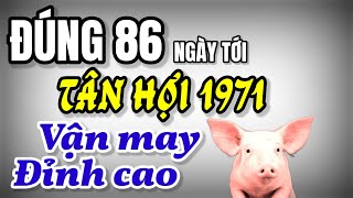 Tử vi Tân Hợi 1971 Đúng 86 ngày tới trời phật mở đường vận may giàu sang bất ngờ gõ cửa mạnh [upl. by Lombard]