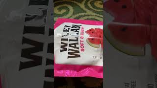 Wiley Wallaby watermelon licorice taste test [upl. by Eanyl]