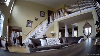 Earthquake captured on home cameras the moment it shakes NJ [upl. by Meadows]