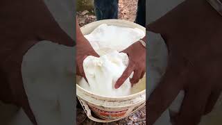 Purely natural rubbery tapping relaxing natural satisfying [upl. by Nnek]