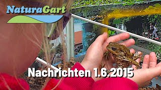 NaturaGart Nachrichten 01062015 Sommerfest Froschgesang Blütenpracht [upl. by Kandy]