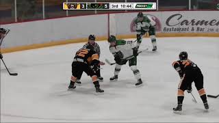 Austin Bruins  Minnesota Wilderness  highlights  101817 [upl. by Mahan]