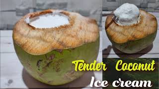 Tender Coconut Icecream Make it easily കരിക്ക് ഐസ്ക്രീം [upl. by Meuser]