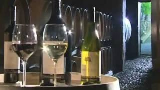 I Vini dei Colli Orientali del Friuli Venezia Giulia  Documentario [upl. by Obau107]