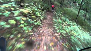 MTBTrailtour in der Pfalz [upl. by Tressia]