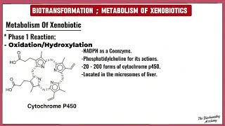 Biotransformation and Xenobiotics Metabolism  Phase 1 reaction  The Biochemistry Academy [upl. by Minny]