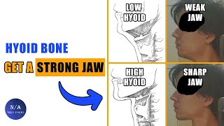 The Secret To An Attractive Jaw  Hyoid Bone blackpill [upl. by Yatnahs468]