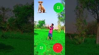 Rotating button to monkey  tota dog amp tiger  magical vfx video [upl. by Nasas]