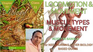 Locomotion and movementMuscle types and movement class 11  NEET Harunbiozone [upl. by Notsua]