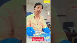 Blood test HBsAg bloodgroup malaria kalaazar rk39HCV tere sang lage vloglove youtubeshorts [upl. by Arlo]