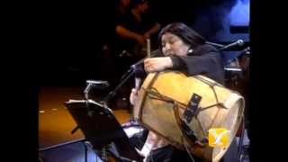 Mercedes Sosa Entre a Mi Pago sin Golpear Festival de Viña 1993 [upl. by Racso723]