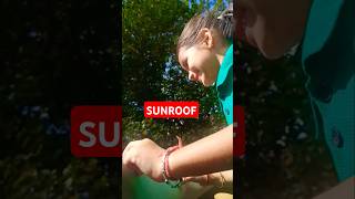 Sunroof khol k  Sunroof  shorts viralvideo shortsfeed punjabisong [upl. by Buffy779]