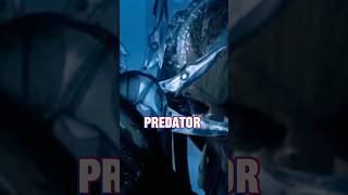 Predator vs alien  after dark xenomorfo predators edit edits predator xenomorphs shorts [upl. by Neo]