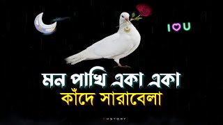 Love story shayari  emotional shayari  sad status 2025 [upl. by Atikel387]