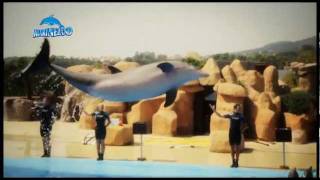 Exhibicion Delfines Marineland [upl. by Fleisher741]