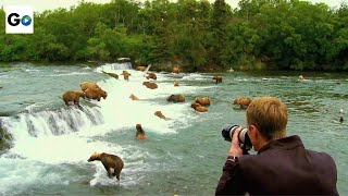 Katmai National Park [upl. by Oirifrop]