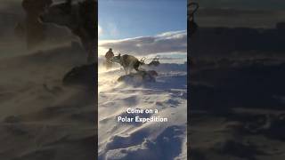 Morning at Polar Expedition 🩵 [upl. by Nortna]