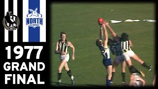 1977 VFL Grand Final  Collingwood Vs North Melbourne Extended Highlights [upl. by Sone]