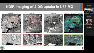 Innovations in Near Field Infrared Spectroscopy [upl. by Anehsat328]