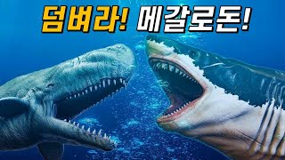 리비아탄vs메갈로돈｜최강의 이빨고래 리비아탄은 메갈로돈을 이길 수 있었을까 [upl. by Nixon]