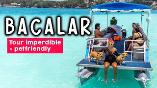 El tour IMPERDIBLE por la laguna BACALAR  Petfriendly 🐶💦 [upl. by Yeldar]