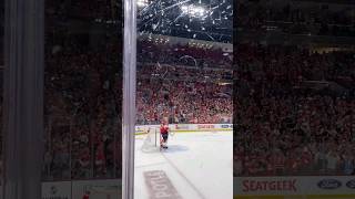 Florida Panthers Stanley Cup Finals Winning Moment from Goalie View 👀 [upl. by Anidnamra]