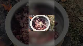 Ultimate Outdoor Gosht Karahi Recipe  Perfect for Parties foodlovers authenticcooking cooking [upl. by Eartha866]