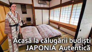 AȘA ARATĂ CAZAREA ȘI MÂNCAREA LA UN TEMPLU BUDIST JAPONEZ🇯🇵 24 de ore printre călugării budiști [upl. by Lynett]