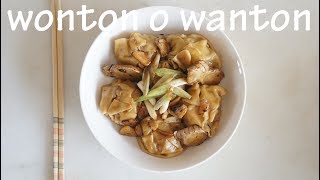 PASTA WONTON O WANTON O WANTAN SALTEADA [upl. by Ahsiei]