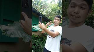 First Selfie goes wrong comedyshorts selfie comedy viralvideo [upl. by Arretal718]