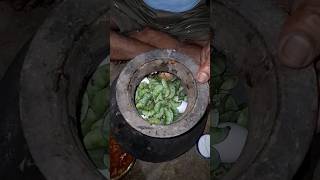 कोकणातील मोंगा पार्टी  चिकन पोपटी  chicken popati  Traditional Chicken Popti konkan mongaparty [upl. by Marj]