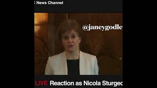 Nicola and the Tories on the Hamilton inquiry [upl. by Brindle]