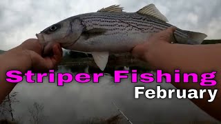 Striped Bass Fishing CALIFORNIA 2024 [upl. by Reine]