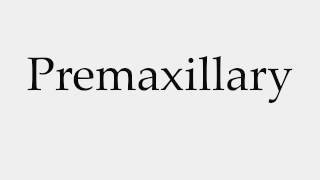 How to Pronounce Premaxillary [upl. by Euridice184]