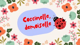 Coccinelle demoiselle [upl. by Iatnahs]