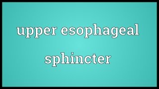 Upper esophageal sphincter Meaning [upl. by Rednaskela]