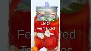 How to make Lacto Fermented Tomatoes shorts [upl. by Eisiam]