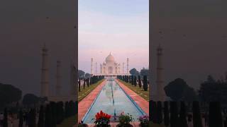 Amazing Facts About Taj Mahal  Shenshah Mamtaz Begum facts viralvideo shortsfeed [upl. by Ycats]