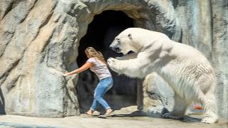 Woman KILLED and EATEN by Polar Bears in 5 Minutes After Falling Into Zoo Enclosure [upl. by Prunella]